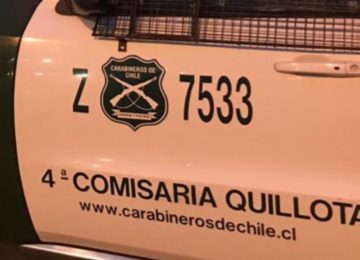 Maltrato gato en Quillota