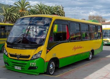 Quillota: Lanzarán servicio exclusivo de Bus Metro para San Pedro