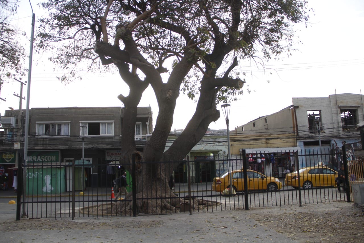 La Plaza de Los Ceibos es uno de los sectores más complejos del centro en materia de seguridad.