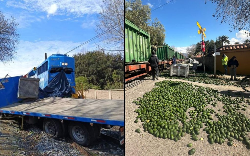 Camión que transportaba paltas colisionó con tren metalero en Panquehue