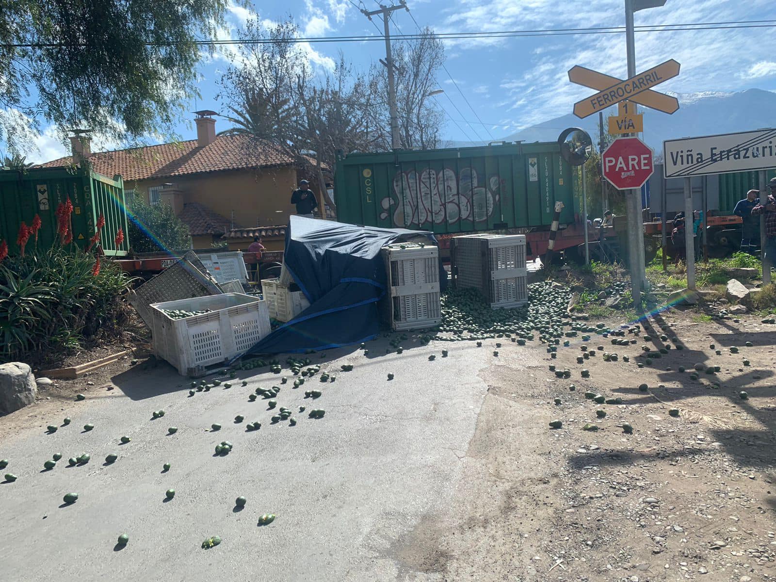 Camión que transportaba paltas colisionó con tren metalero en Panquehue