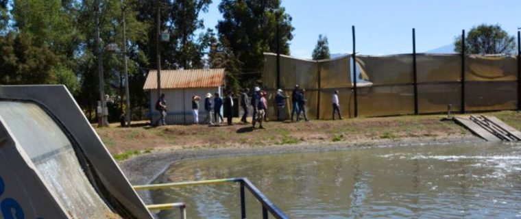 Condenan a la Municipalidad de Nogales por daño ambiental en El Melón