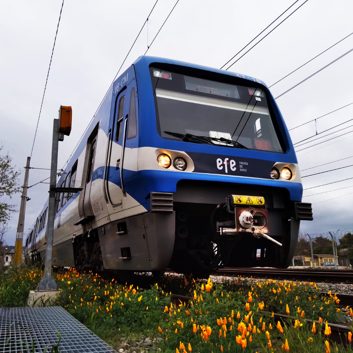 EFE actualiza proyecto de extensión de tren a Quillota, La Cruz y La Calera