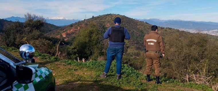 Puma y sus cachorros en Viña del Mar