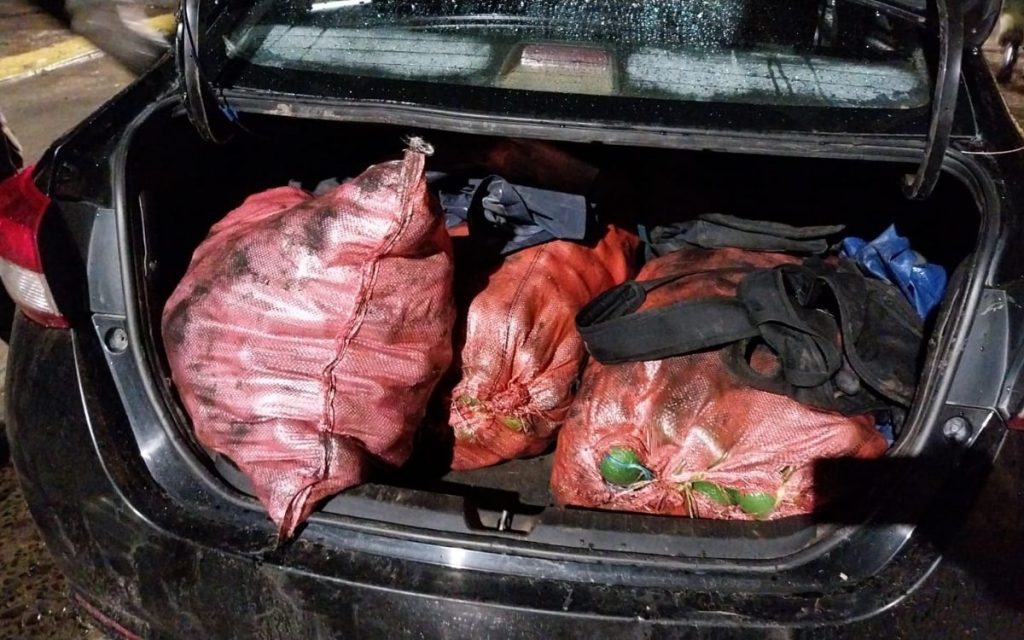 Quillota: Trataron de robar 450 kilos de paltas y huir en taxi