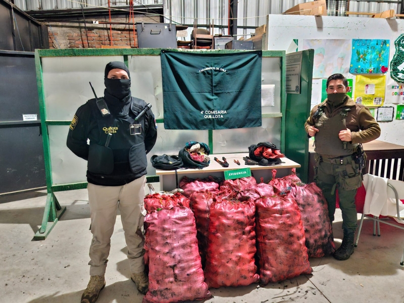 Quillota Trataron de robar 450 kilos de paltas y huir en taxi