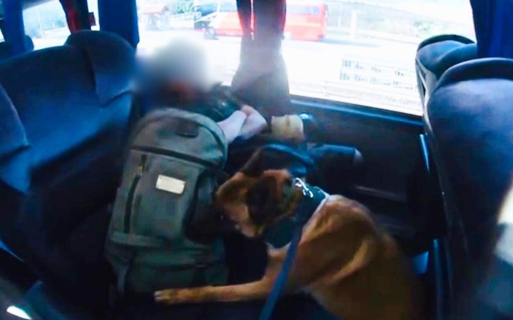 En Nogales perros policiales detectaron droga en equipaje de bus