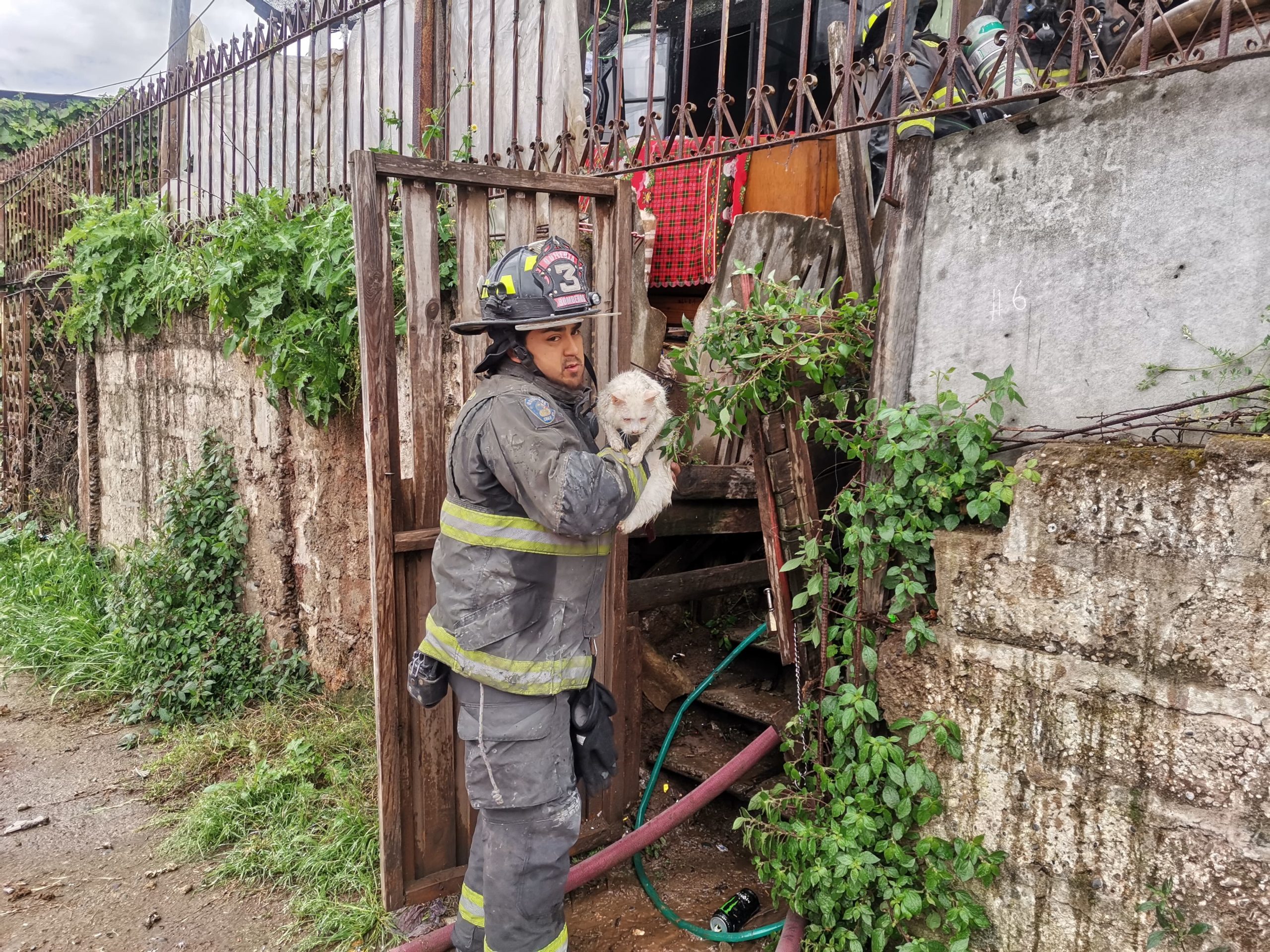 Incendio en Quillota dejó ocho personas damnificadas