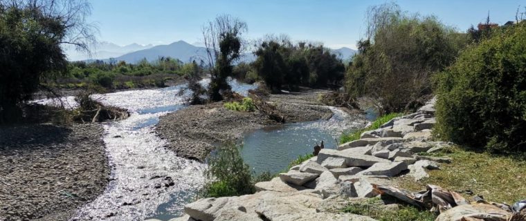 Quillota: Recuperan espacio en El Peumo que era un microbasural