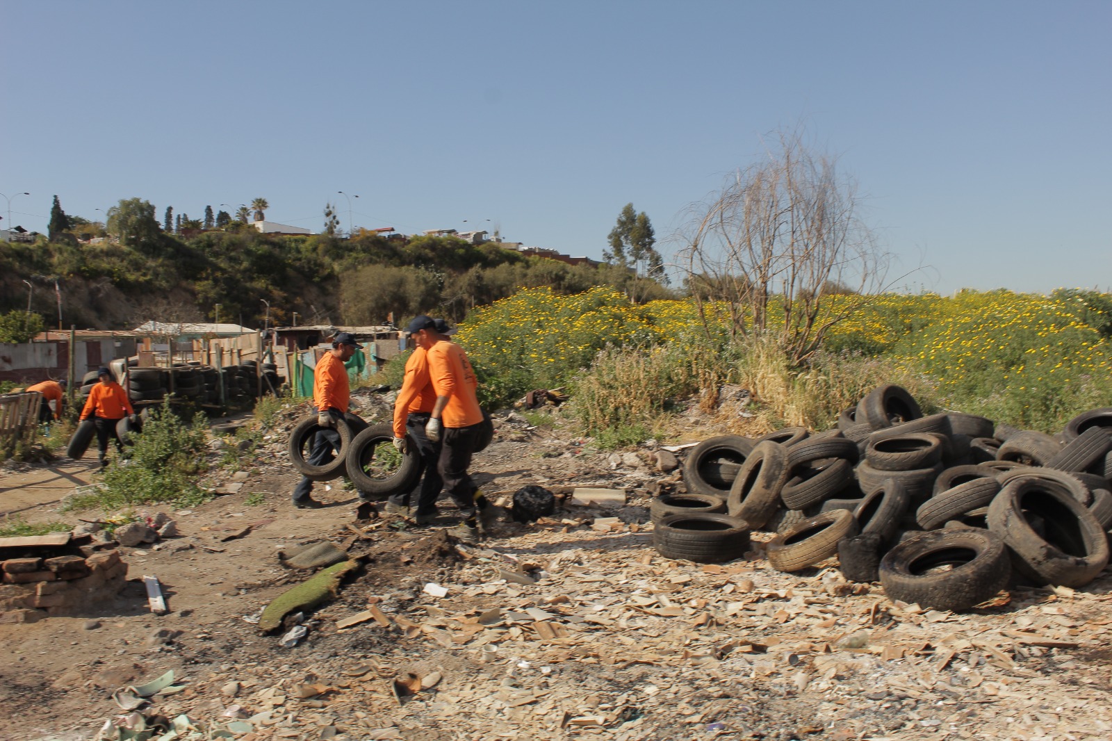 Desalojaron toma de terreno en El Peumo en Quillota