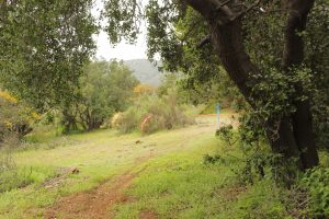 Club Enduro Quillota organiza final de torneo de motos