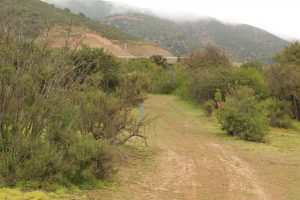 Club Enduro Quillota organiza final de torneo de motos