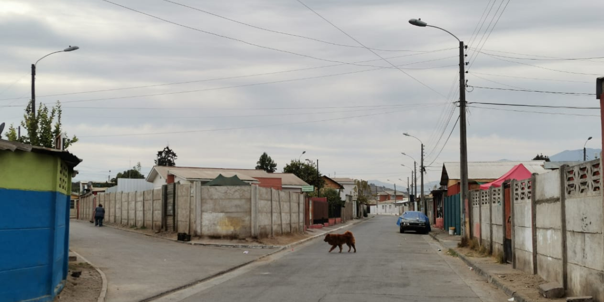 Todas las calles y pasajes de Quillota donde se instalan 2 mil nuevas luminarias