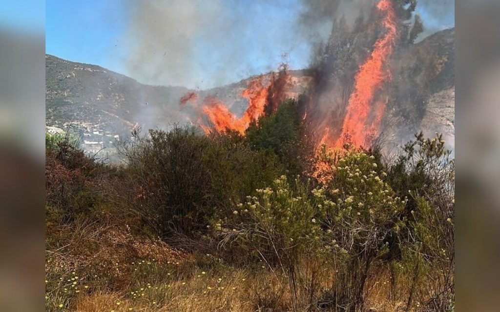 Controlan incendio en pastizales en Pachacamita