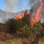 Controlan incendio en pastizales en Pachacamita