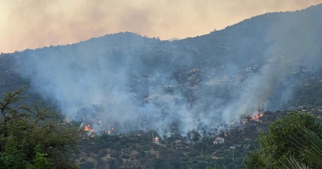 Incendio en Hijuelas afecta a Oasis La Campana