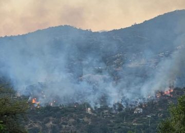 Incendio en Hijuelas afecta a Oasis La Campana