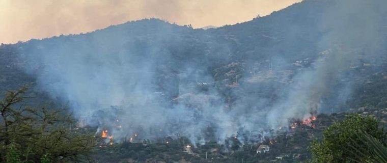 Incendio en Hijuelas afecta a Oasis La Campana