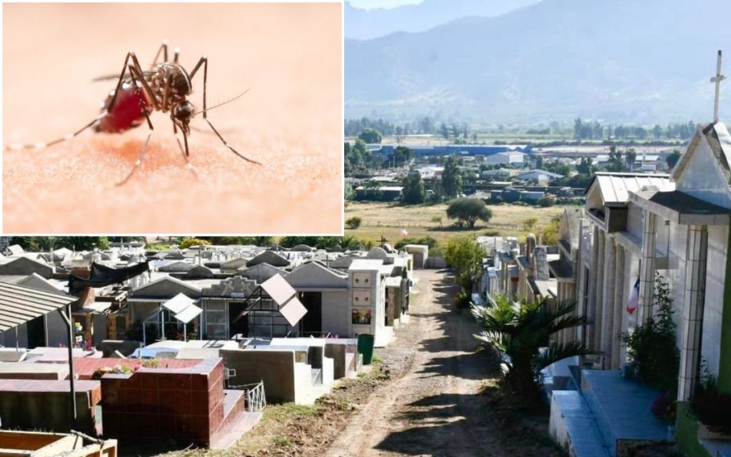 La Calera: Partió campaña preventiva contra mosquito del Dengue y fiebre amarilla