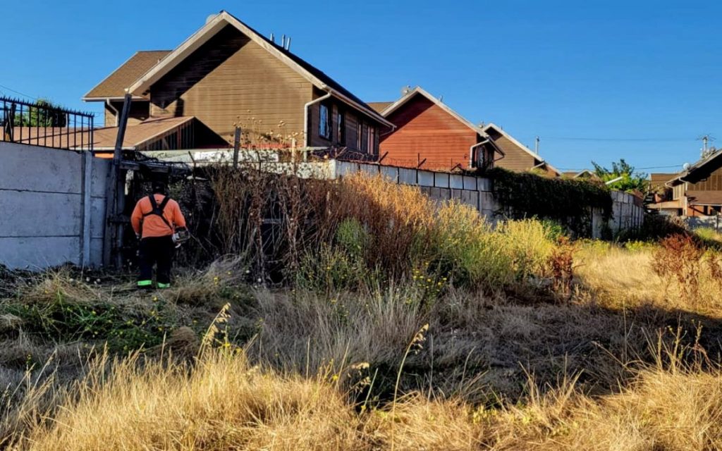 Quillota: Fiscalizan y multan a dueños de terrenos que no cortan sus pastizales