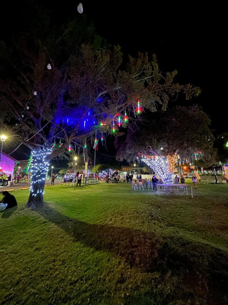 La Calera recibe diciembre con encendido del árbol de Navidad