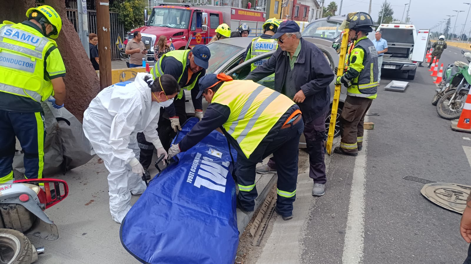 Quillota Con impactante intervención buscan concientizar y prevenir tragedias