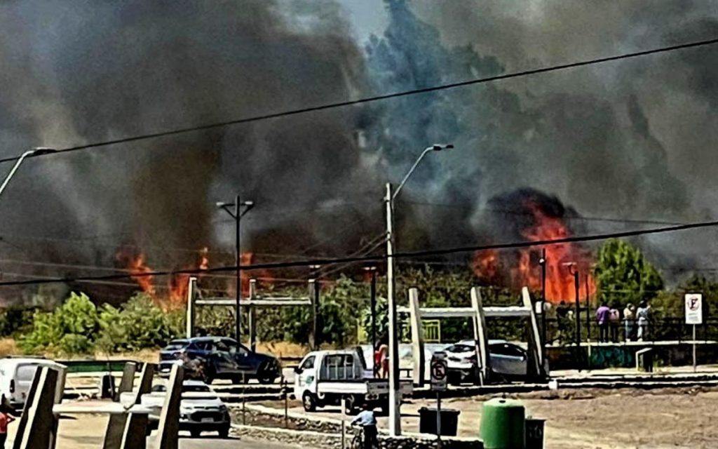 Combaten voraz incendio forestal en Lo Rojas en La Cruz