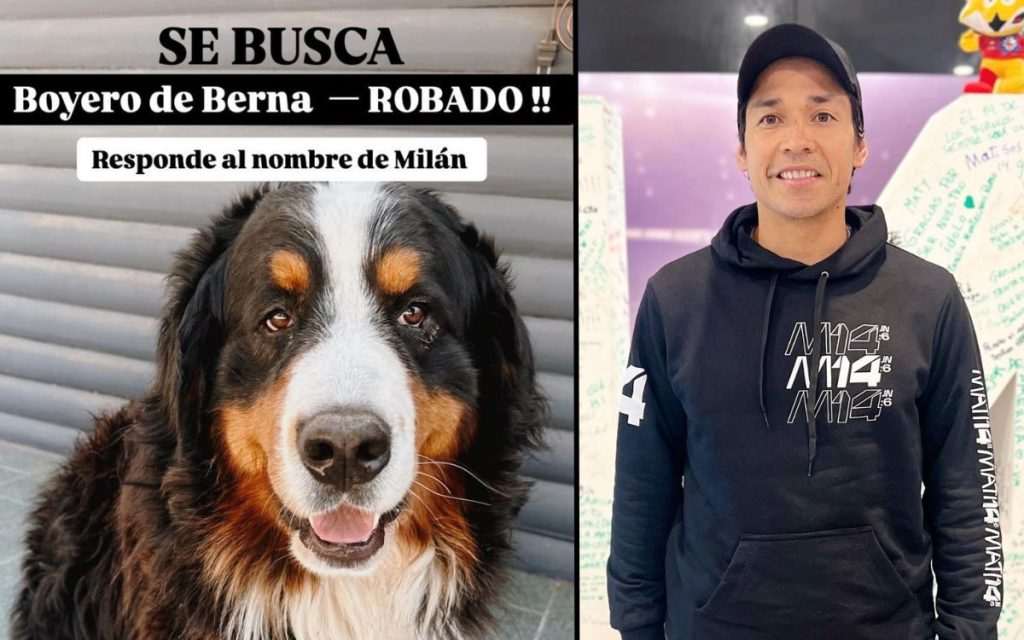 Robaron el perro del ex futbolista Matías Fernández en Nogales