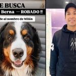 Robaron el perro del ex futbolista Matías Fernández en Nogales