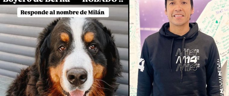 Robaron el perro del ex futbolista Matías Fernández en Nogales