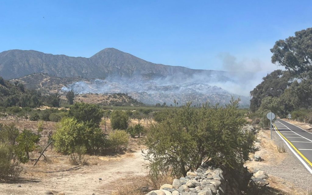 Cuatro detenidos por incendio forestal que dañó 40 hectáreas en Ocoa