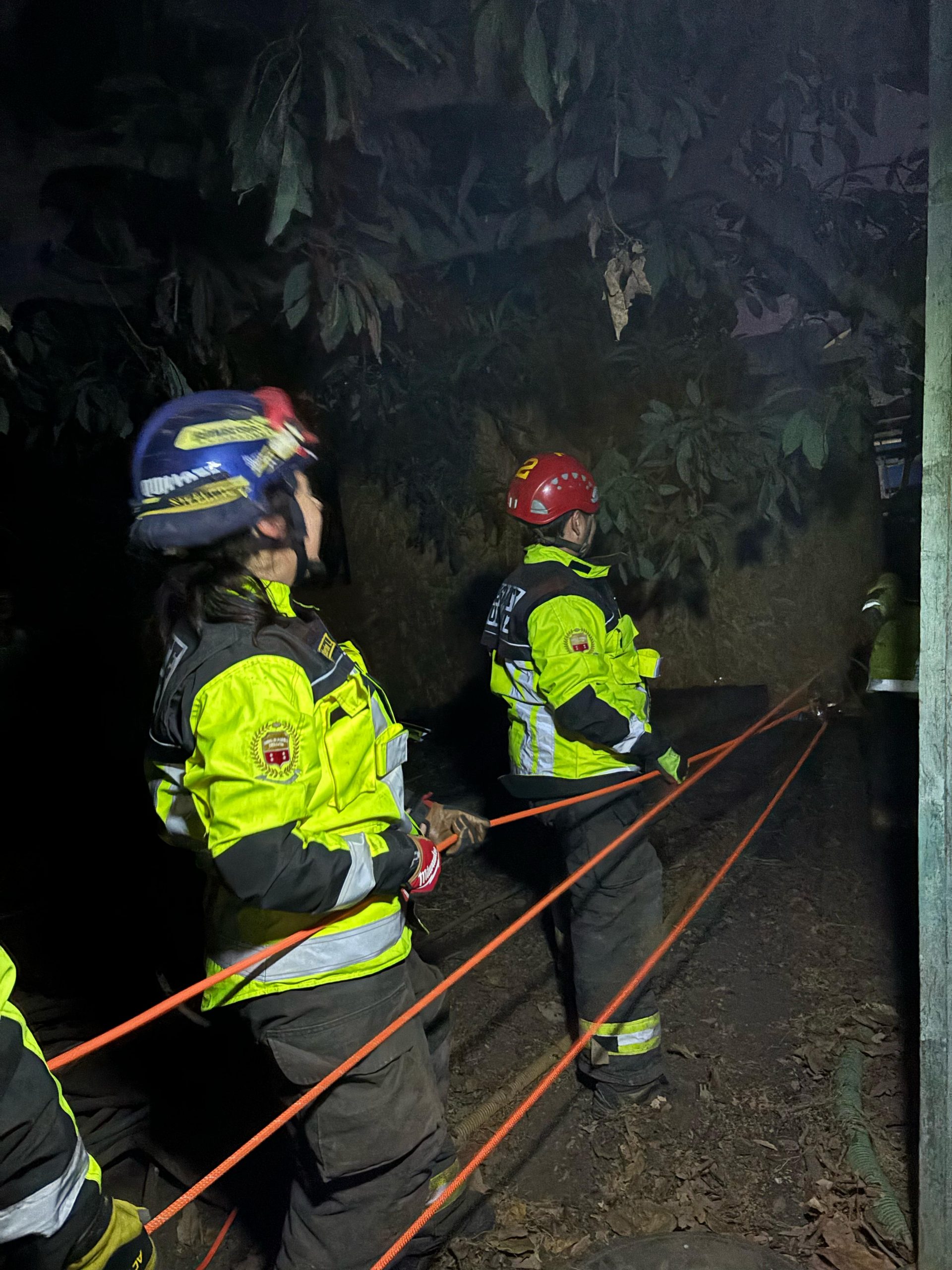 Dueña de gatito rescatado desde pozo agradeció a Bomberos de Quillota