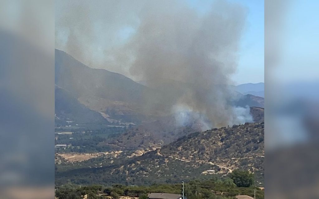 Incendio forestal en Hijuelas obliga evacuación de vecinos