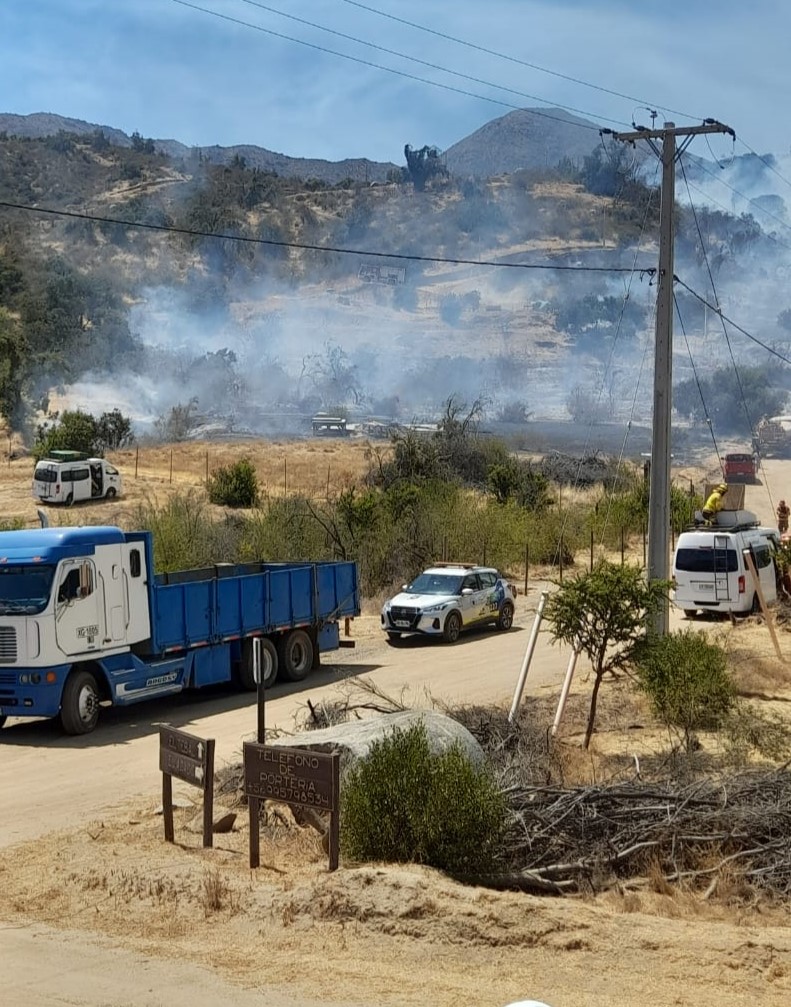 Incendio forestal en Hijuelas obliga evacuación de vecinos