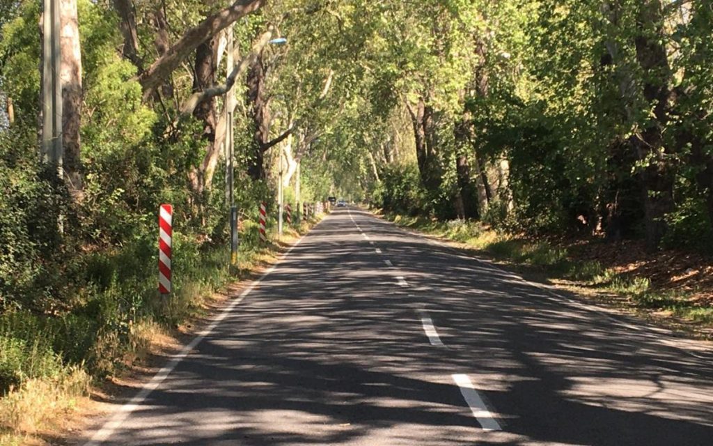 Conductor atropelló a motociclista en Rabuco y huyó sin prestarle ayuda