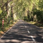 Conductor atropelló a motociclista en Rabuco y huyó sin prestarle ayuda